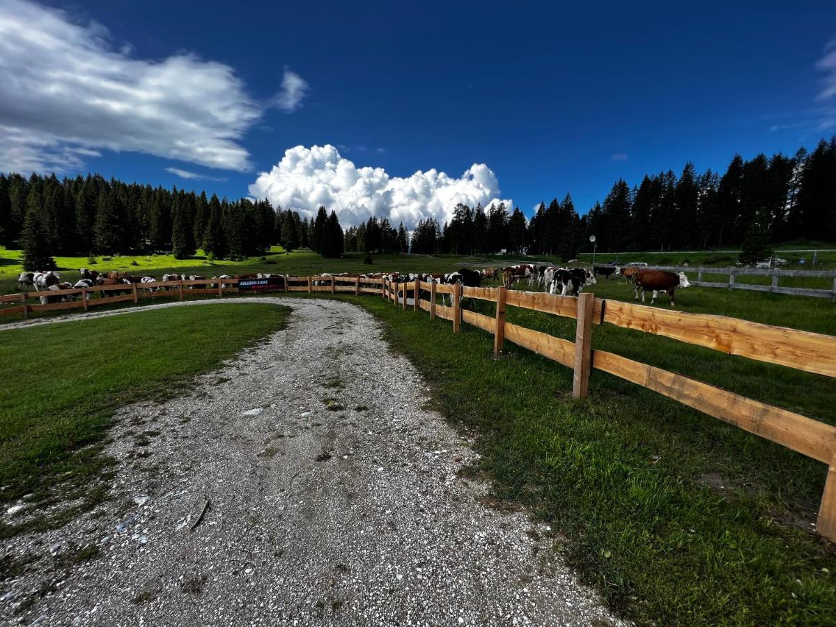 Malga Millegrobbe Nordic Resort Lavarone Exterior photo